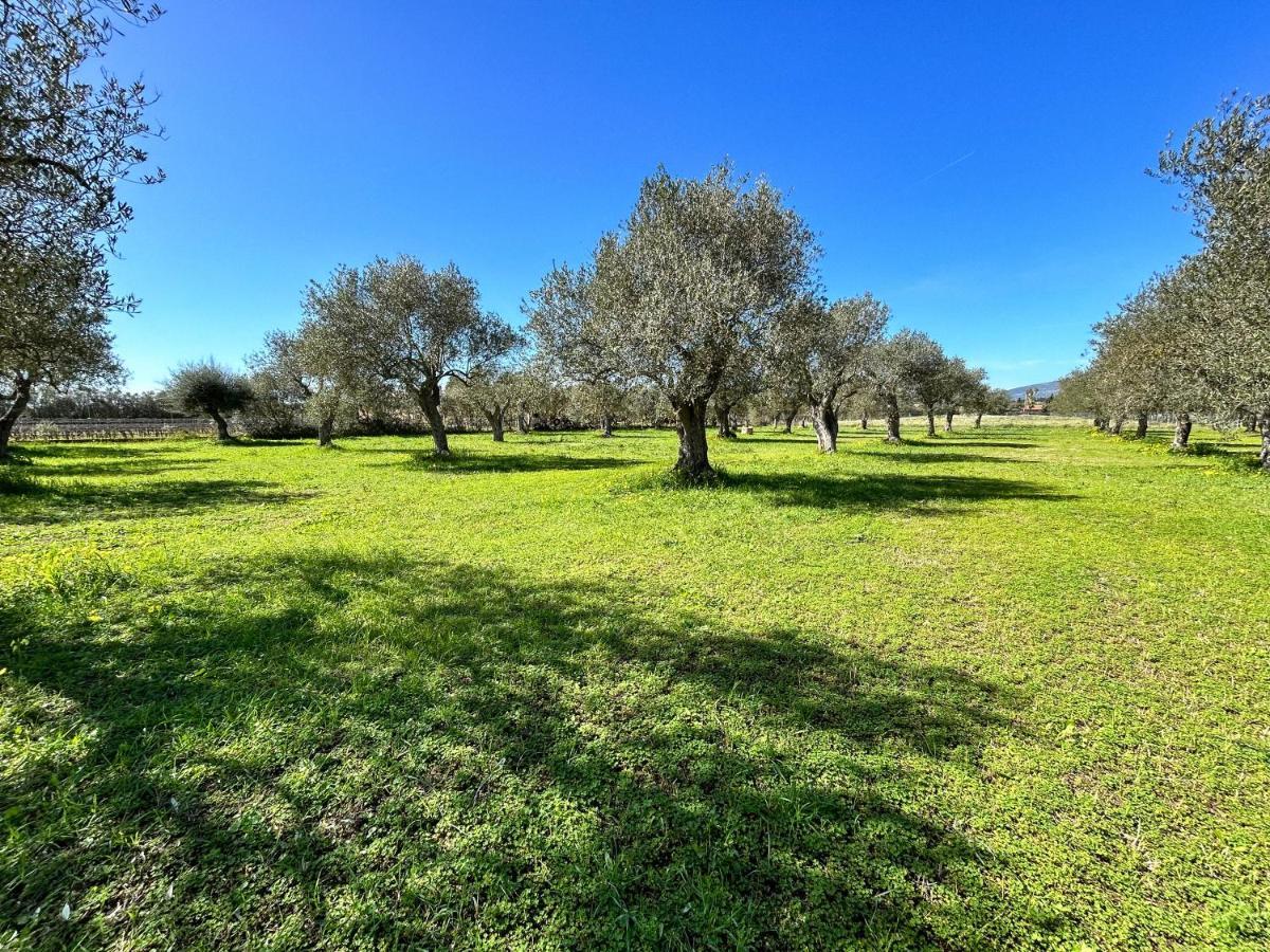 Casa Del Mate Villa Alghero Kültér fotó